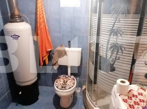 Casa de vânzare 3 camere Capud - 154651CV | BLITZ Alba Iulia | Poza10