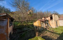 Casă 100 mp utili cu 1750 mp de teren în Vurpăr, reper Domeniile Martinutzi