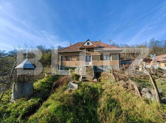 Casa de vânzare 3 camere Vurpăr - 154669CV | BLITZ Alba Iulia | Poza8