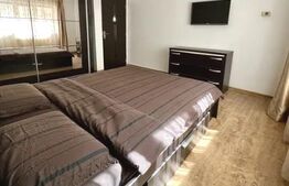 Garsoniera, zona Cetate