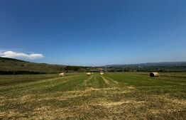 Teren extravilan pentru recreere, 3000 mp, zona Paclisa - Alba Iulia