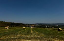 Teren extravilan pentru recreere, 3000 mp, zona Paclisa - Alba Iulia