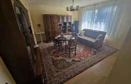 Casa individuala de vanzare 4 camere, curte 250 mp, zona ultracentrala