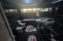 Casa Spatioasa 285 mp, 9 camere, 750 mp curte zona Schit - Cetate 