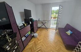 Casa Spatioasa 285 mp, 9 camere, 750 mp curte zona Schit - Cetate 