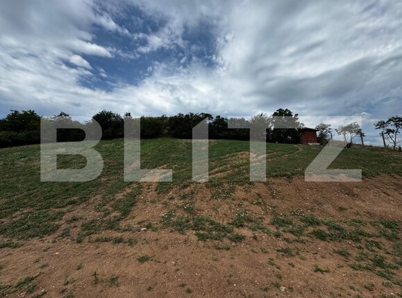 Teren de vânzare Sard - 156139TV | BLITZ Alba Iulia | Poza2