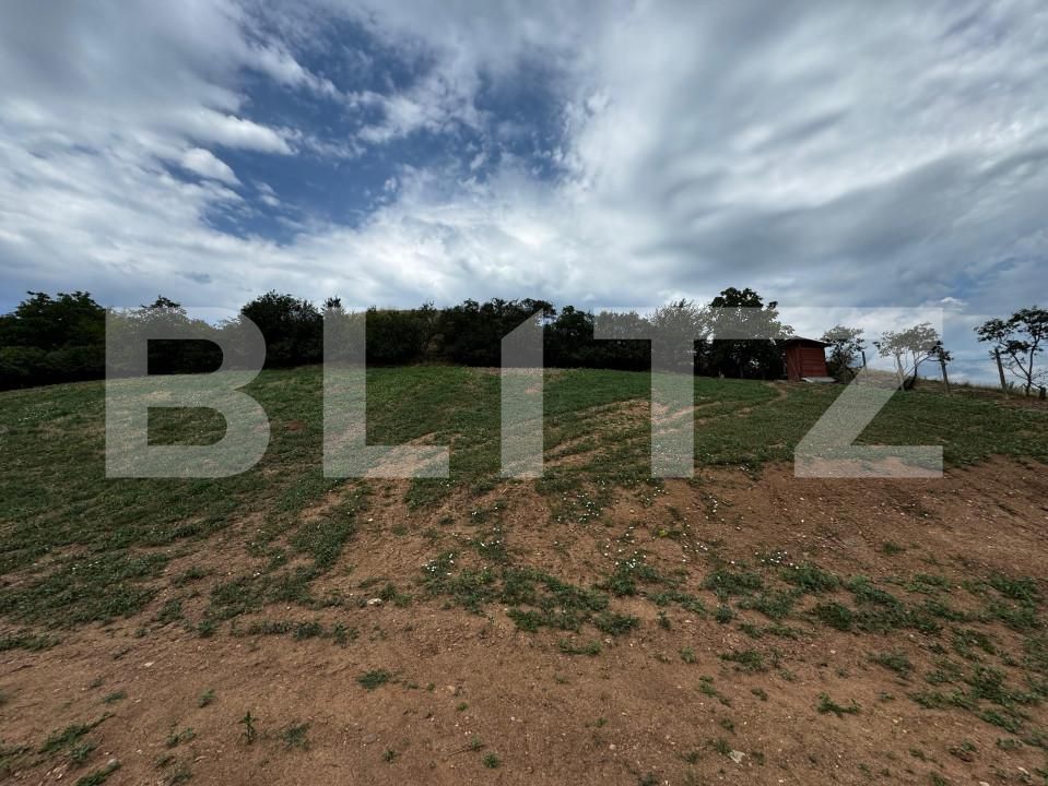 Teren de vânzare Sard - 156139TV | BLITZ Alba Iulia | Poza2