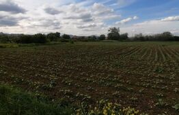 Teren intravilan 5800 mp cu toate utilitatile PUZ hala in Oiejdea