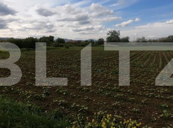 Teren de vânzare Exterior Nord - 156295TV | BLITZ Alba Iulia | Poza1