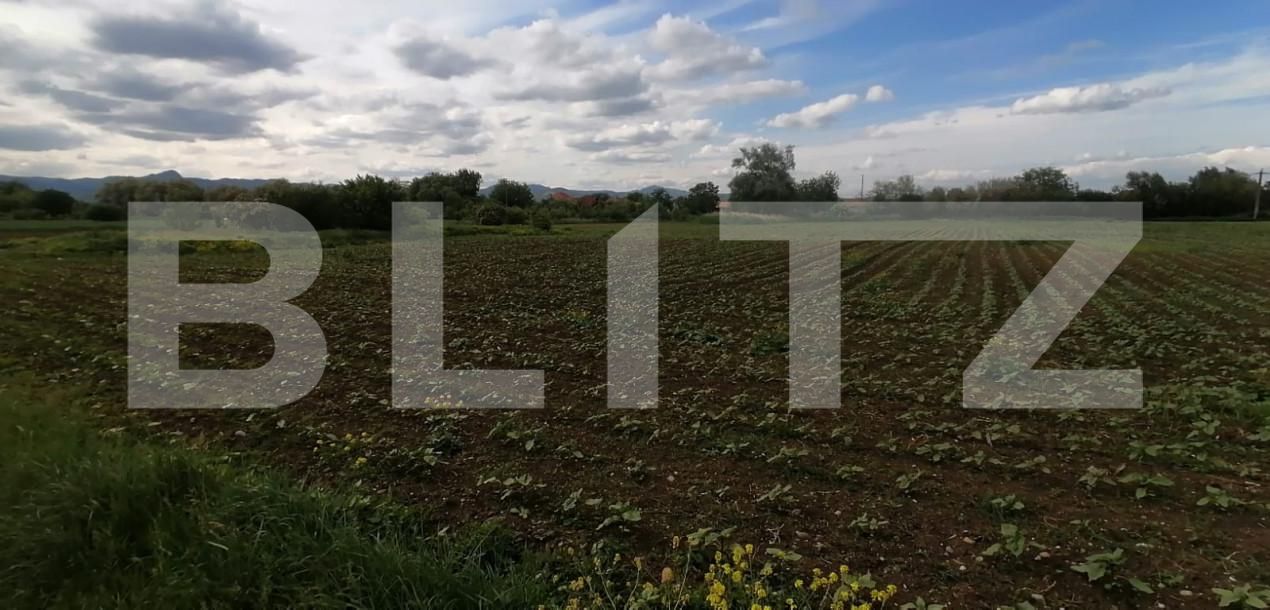 Teren de vânzare Exterior Nord - 156295TV | BLITZ Alba Iulia | Poza1