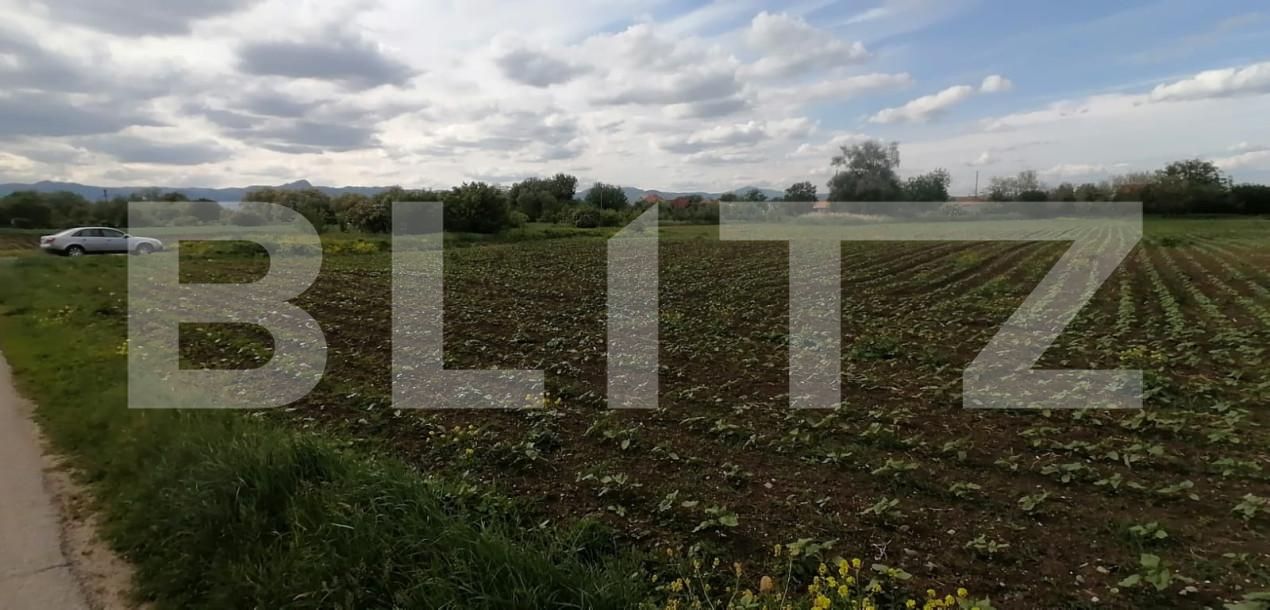 Teren de vânzare Exterior Nord - 156295TV | BLITZ Alba Iulia | Poza2