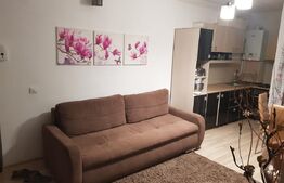 Apartament 1 camera zona centrala