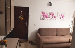 Apartament 1 camera zona centrala