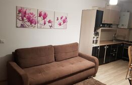 Apartament 1 camera zona centrala