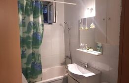 Apartament 1 camera zona centrala