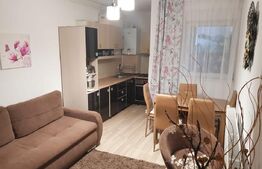 Apartament 1 camera zona centrala