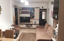 Apartament 1 camera zona centrala