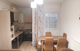 Apartament 1 camera zona centrala