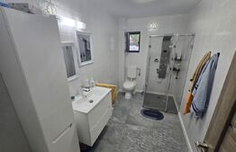 Casa individuala, 4 dormitoare, 220 mp, renovata 2023, zona Partos 