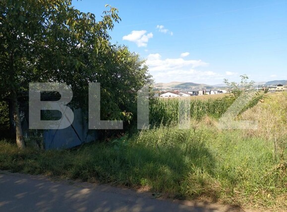 Teren de vânzare Cetate - 156519TV | BLITZ Alba Iulia | Poza1