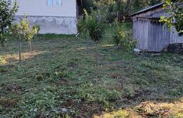 Casa la munte, teren 8324 mp, anexe, zona comuna Bucium