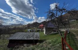 Casa la munte, teren 8324 mp, anexe, zona comuna Bucium