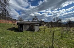 Casa la munte, teren 8324 mp, anexe, zona comuna Bucium