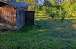 Casa la munte, teren 8324 mp, anexe, zona comuna Bucium