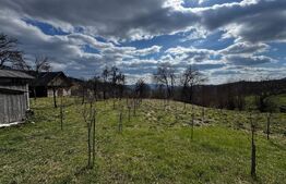 Casa la munte, teren 8324 mp, anexe, zona comuna Bucium