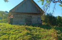 Casa la munte, teren 8324 mp, anexe, zona comuna Bucium