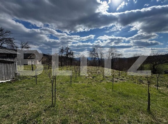 Casa de vânzare 2 camere Bucium - 156818CV | BLITZ Alba Iulia | Poza7