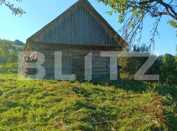 Casa de vânzare 2 camere Bucium - 156818CV | BLITZ Alba Iulia | Poza5