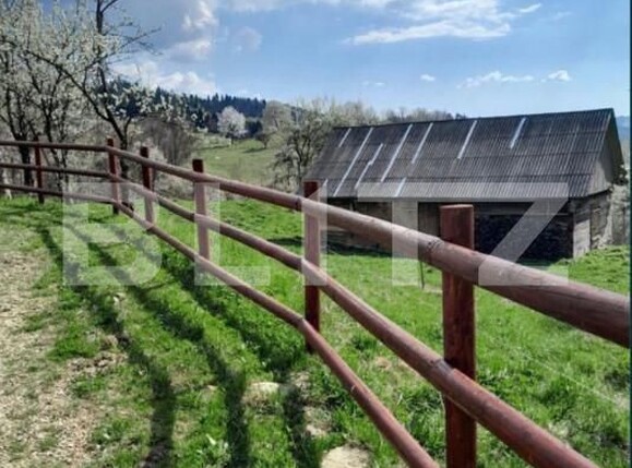 Casa de vânzare 2 camere Bucium - 156818CV | BLITZ Alba Iulia | Poza6