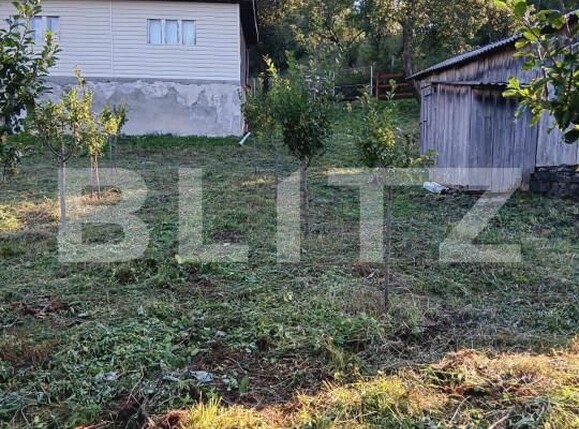 Casa de vânzare 2 camere Bucium - 156818CV | BLITZ Alba Iulia | Poza11