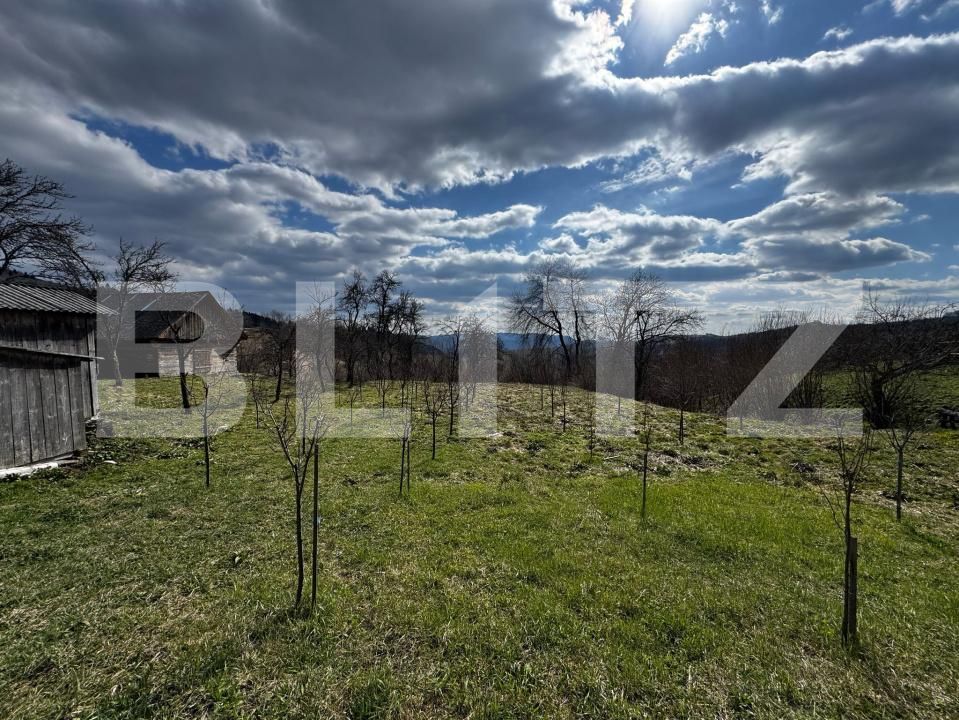 Casa de vânzare 2 camere Bucium - 156818CV | BLITZ Alba Iulia | Poza7