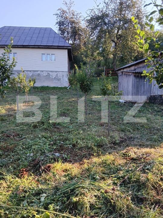 Casa de vânzare 2 camere Bucium - 156818CV | BLITZ Alba Iulia | Poza10