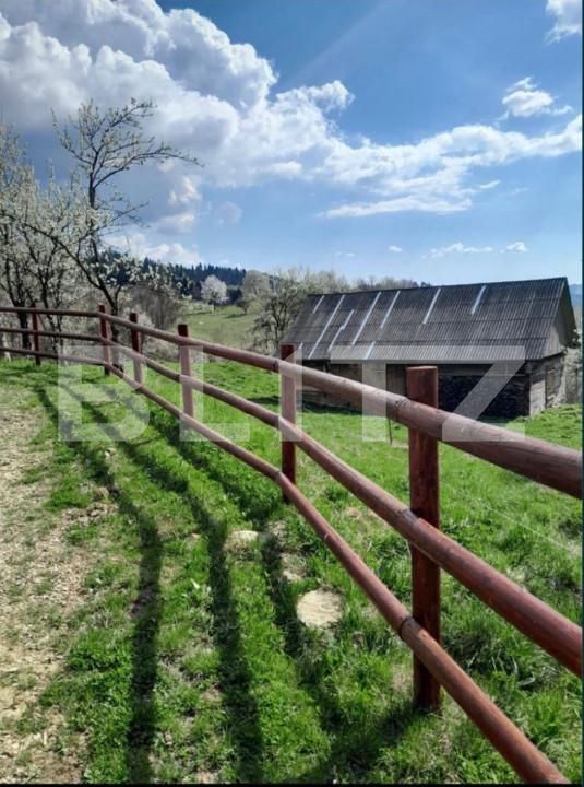 Casa de vânzare 2 camere Bucium - 156818CV | BLITZ Alba Iulia | Poza6