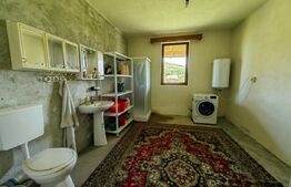 Casă cu 4 camere, 8700 mp teren cu livadă, zona Ighiu - Țelna