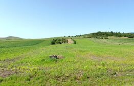 Casă cu 4 camere, 8700 mp teren cu livadă, zona Ighiu - Țelna