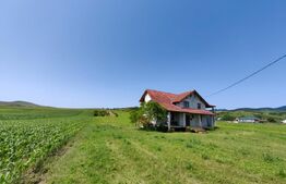 Casă cu 4 camere, 8700 mp teren cu livadă, zona Ighiu - Țelna