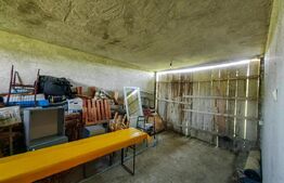 Casă cu 4 camere, 8700 mp teren cu livadă, zona Ighiu - Țelna