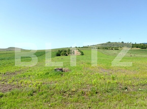 Casa de vânzare 4 camere Nord Vest - 157030CV | BLITZ Alba Iulia | Poza4