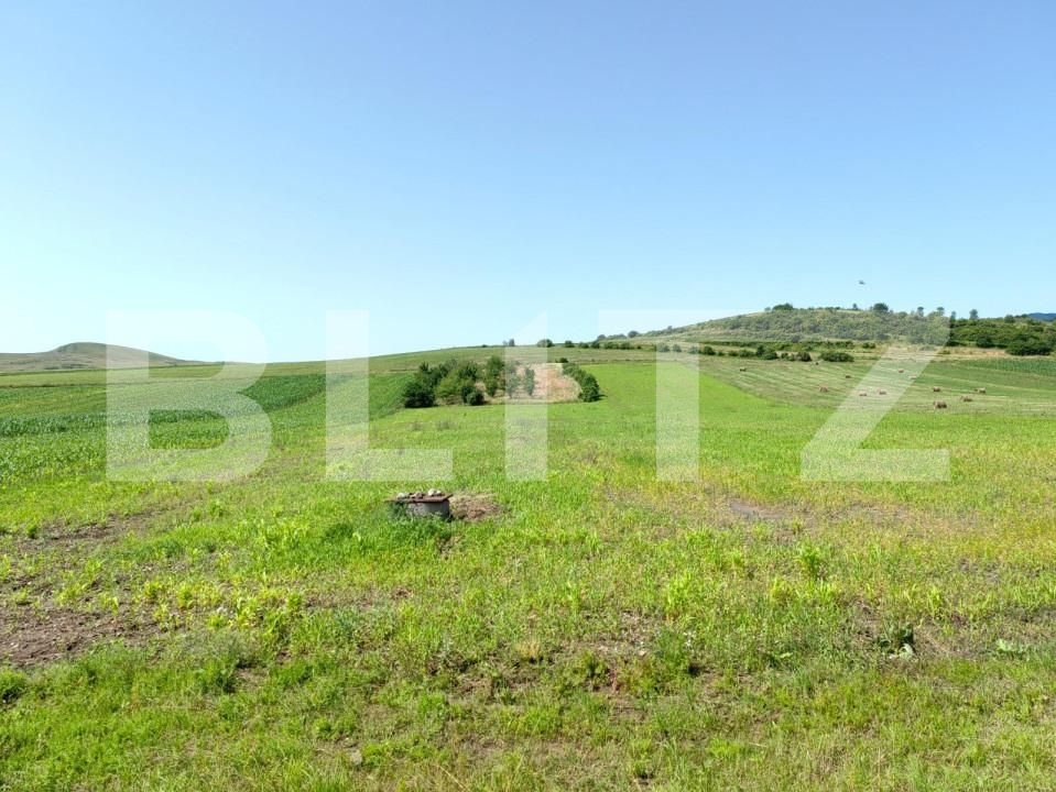 Casa de vânzare 4 camere Nord Vest - 157030CV | BLITZ Alba Iulia | Poza4