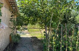 Casa individuala, 3 camere, zona Centrala