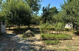 Casa individuala, 3 camere, zona Centrala