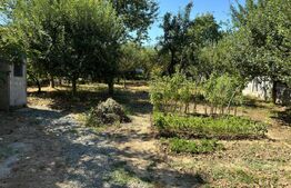 Casa individuala, 3 camere, zona Centrala