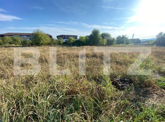 Teren de vânzare Cetate - 157113TV | BLITZ Alba Iulia | Poza2