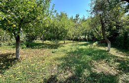 Casă individuală de vânzare în Sebeș - 4 camere, curte și grădină generoase