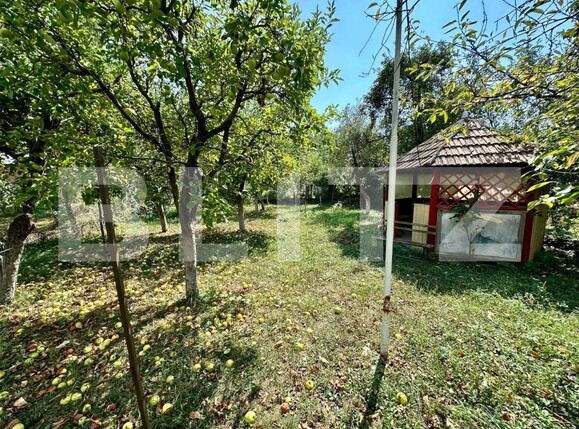 Casa de vânzare 4 camere Sebeș - 157119CV | BLITZ Alba Iulia | Poza7