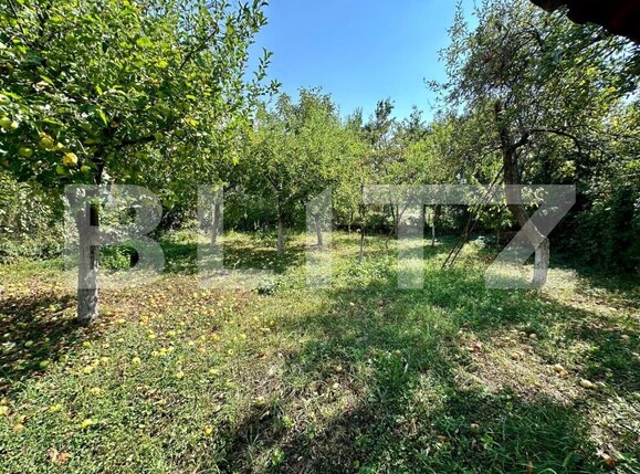 Casa de vânzare 4 camere Sebeș - 157119CV | BLITZ Alba Iulia | Poza8